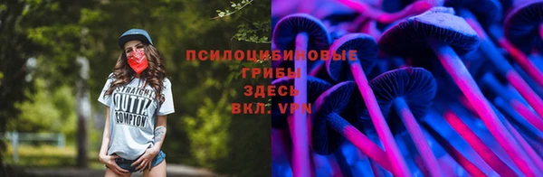 метадон Алзамай