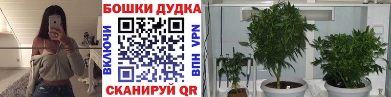 где можно купить наркотик  Бабушкин  Бошки марихуана AK-47 